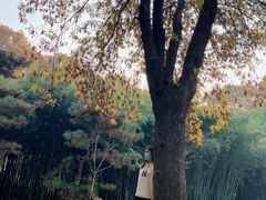 -河南省黄河迎宾馆