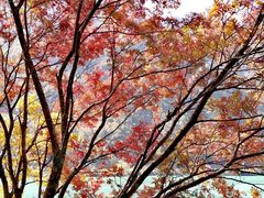 -叠溪松坪沟景区