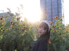 -映月湖中央公园