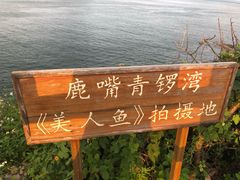 -杨梅坑