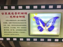 -上海昆虫博物馆