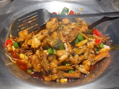 -蛙小侠(珠海华发商都店)