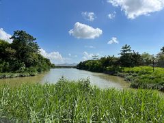 -福田红树林生态公园