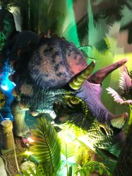 点击看大图 -恐龙探索乐园(磁器口店)