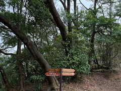 -狮子山郊野公园