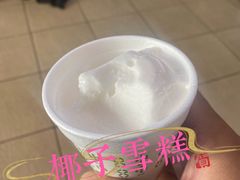 -洪馨椰子