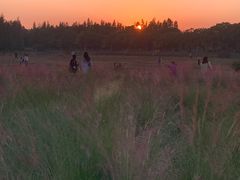 -艾溪湖湿地公园