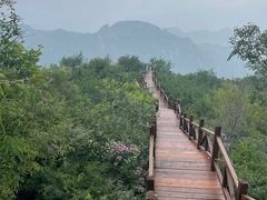 -大岭沟猕猴桃谷风景区