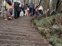 -紫金山天文台