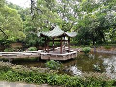-九龙公园