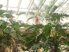 -顺峰·粤菜海鲜·早茶自助(阜成店)