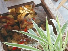 -冯记白土岗辣子鸡