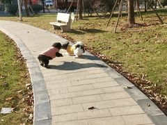 -派特宠物医院(圆融广场店)