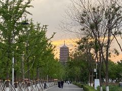 -远洋未来广场(育慧北路店)