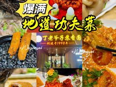 -丁老爷子苏香圆