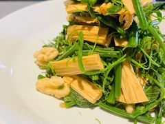 腐竹拌丝瓜苗-北平楼·烤鸭·北京菜(牡丹园店)