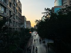 -漳州城市职业学院