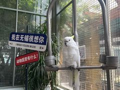 -无锡动物园·太湖欢乐园