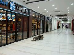 -好久不见网红乐队酒吧(鼓浪屿海底世界店)