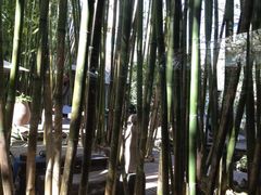 iphone_upload_pic-新竹里馆·花园餐厅(兴苑路店)