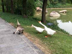 -厦门悦华酒店