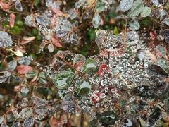 -南京市江宁方山