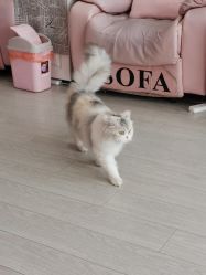 -Beauty Nails 美甲美睫皮肤管理