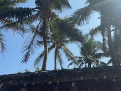 -这片海·海景餐厅(博鳌店)
