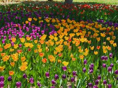 -长春公园(普阳街道)