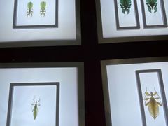 -上海昆虫博物馆