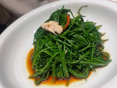 -蒙料·手把肉(望京店)