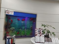 -雅悦齿科(顾村公园店)
