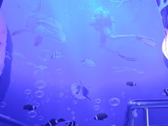 -大明湖海底世界