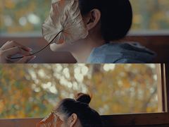 -华侨城湿地公园