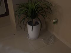 -颐而康·按摩·艾灸·足疗(汽车东站店)