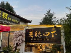 -蘑统田下·野生菌火锅