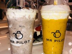 -飞行喵MR PILOT|猫舍·猫咖(静安大融城店)