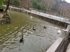 -黔灵山公园