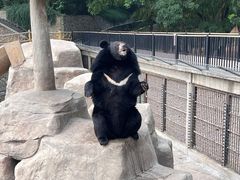 -石家庄市动物园