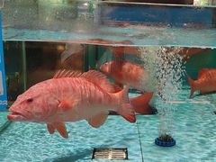 -阿伟海鲜楼·福建菜(延寿店)