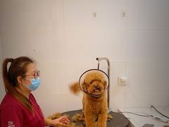 -美联众合24小时·皮肤科·外科·全科诊疗中心(华苑分院)