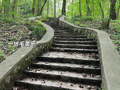 -紫金山山顶公园