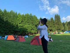 -武陵山森林公园