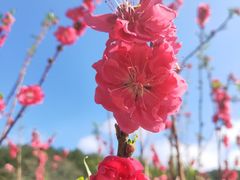-白水带风景区体育公园