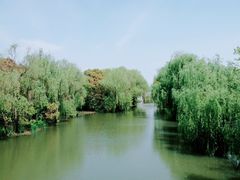 -同里国家湿地公园