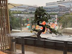 -温野菜涮涮锅(大悦城店)