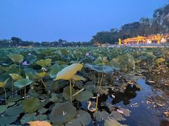 -郭守敬纪念馆