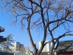 -肯德基(丰北路店)