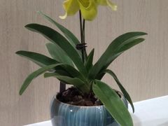 -北京植物园-展览温室