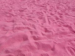 -春花秋色城市公园